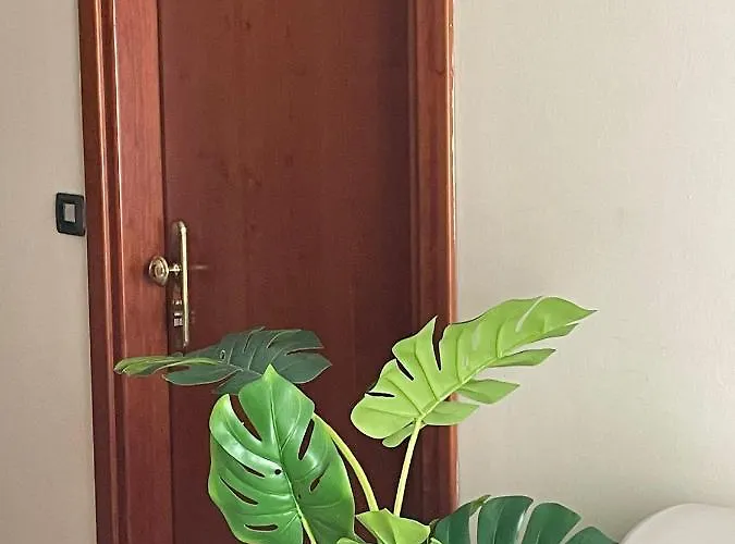 Arda Fiorenzuola 酒店 3*