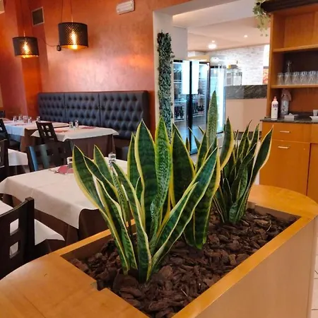 Arda Fiorenzuola ホテル 3*