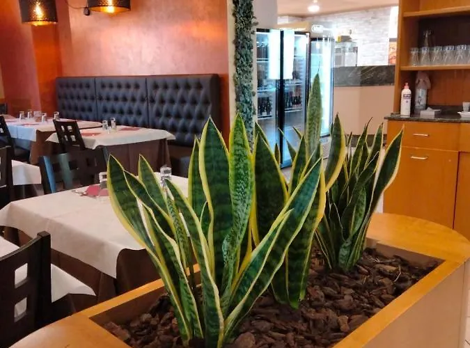 Arda Fiorenzuola Hotel 3*